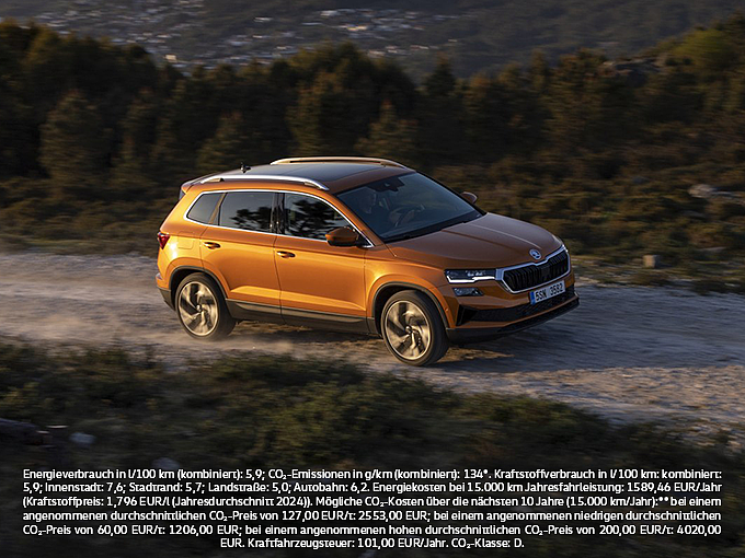 error_file_does_not_exist