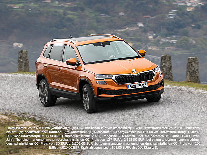 error_file_does_not_exist