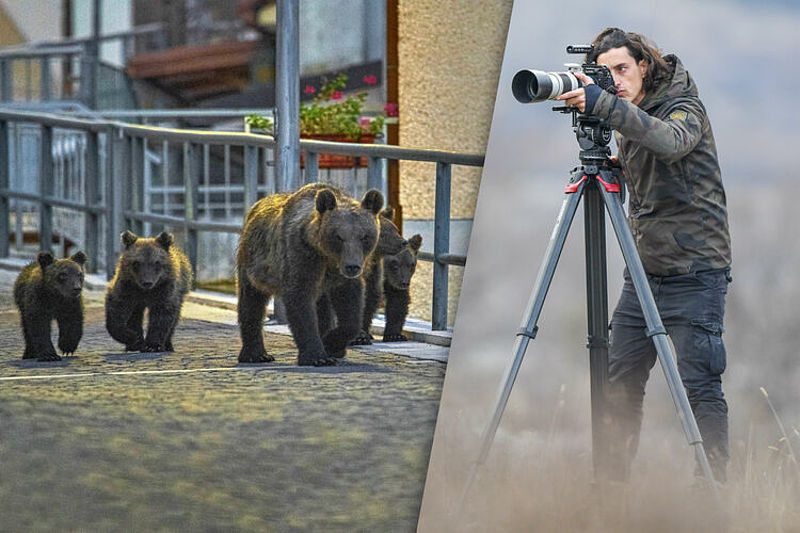Audi-Umweltstiftung fördert NaturVision Filmfestival: Siegerfilm „My Neighbour is a Bear“