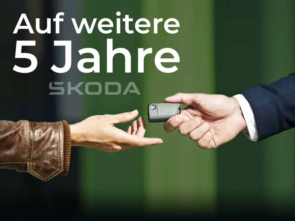2026 02 09 skoda service Beitrag 1024x768