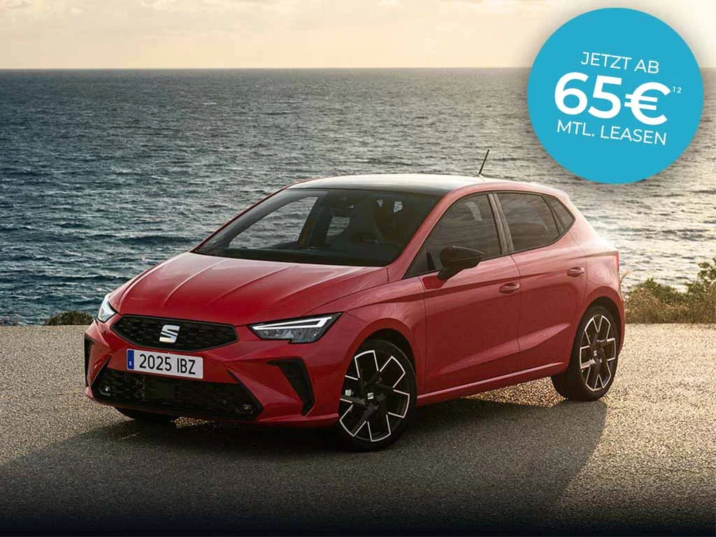 Sseat ibiza loy g Fahrzeugangebot privat 1024x768