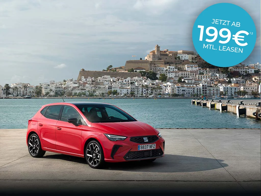 Ibiza neu