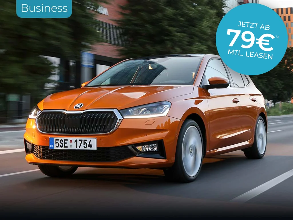 Fabia busines